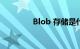 Blob 存储是什么知识介绍