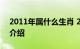 2011年属什么生肖 2011年是哪个生肖知识介绍