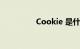 Cookie 是什么知识介绍
