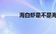 海白虾是不是海虾呢知识介绍