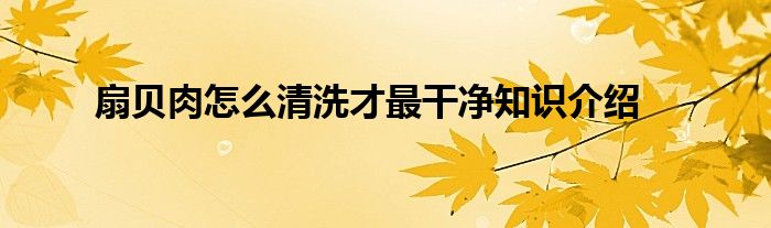 扇贝肉怎么清洗才最干净知识介绍