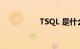 TSQL 是什么知识介绍