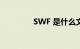 SWF 是什么文件知识介绍