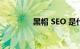 黑帽 SEO 是什么知识介绍