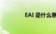 EAI 是什么意思知识介绍