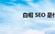 白帽 SEO 是什么知识介绍
