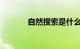 自然搜索是什么意思知识介绍