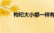 枸杞大小都一样有营养吗知识介绍