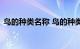 鸟的种类名称 鸟的种类名称有哪些知识介绍