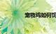 宠物鸡如何饲养知识介绍