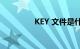 KEY 文件是什么知识介绍