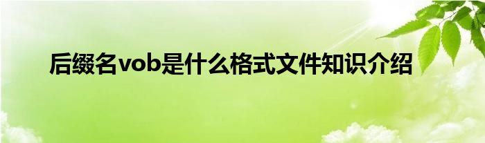 后缀名vob是什么格式文件知识介绍