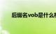 后缀名vob是什么格式文件知识介绍