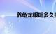 养龟龙眼叶多久换一次知识介绍