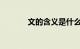 文的含义是什么意思知识介绍