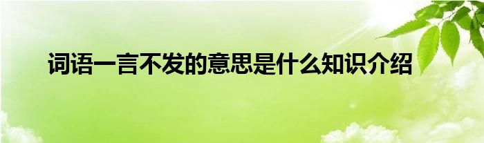 词语一言不发的意思是什么知识介绍