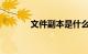 文件副本是什么意思知识介绍