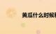 黄瓜什么时候种植知识介绍