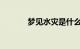 梦见水灾是什么意思知识介绍
