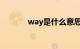 way是什么意思中文知识介绍