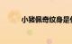 小猪佩奇纹身是什么梗知识介绍