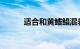 适合和黄鳍鲳混养的鱼知识介绍