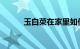 玉白菜在家里如何摆放知识介绍