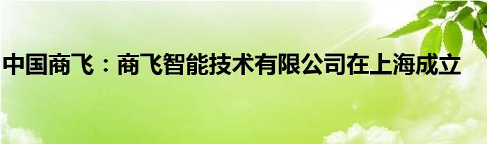 中国商飞：商飞智能技术有限公司在上海成立