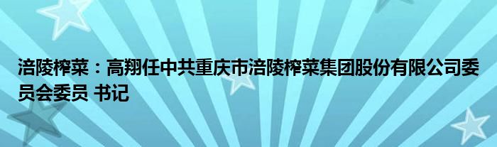 涪陵榨菜：高翔任中共重庆市涪陵榨菜集团股份有限公司委员会委员 书记