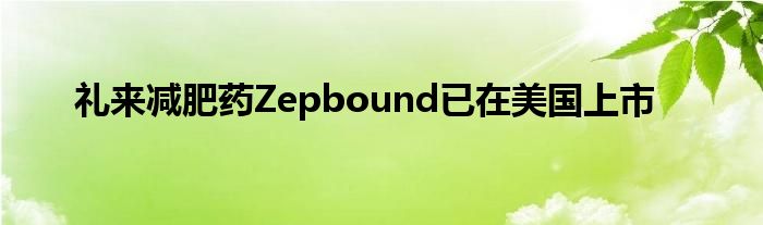 礼来减肥药Zepbound已在美国上市