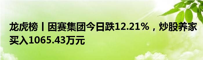 龙虎榜丨因赛集团今日跌12.21%，炒股养家买入1065.43万元
