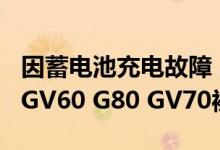 因蓄电池充电故障，532辆进口捷尼赛思纯电GV60 G80 GV70被召回