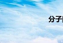 分子数怎么算