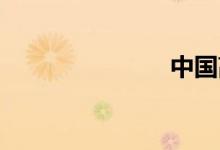 中国高层派别