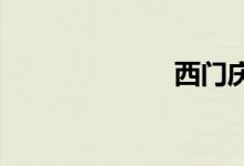 西门庆怎么死的