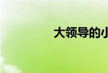 大领导的小妻子全文免费