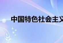 中国特色社会主义事业总体布局是什么