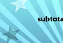 subtotal是什么意思