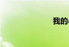 我的小婶小说
