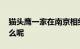 猫头鹰一家在南京相继热中暑 究竟发生了什么呢