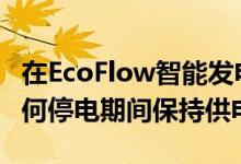 在EcoFlow智能发电机上节省300美元并在任何停电期间保持供电