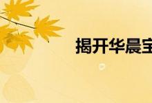 揭开华晨宝马电动化面纱