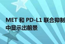 MET 和 PD-L1 联合抑制在 MET 驱动的转移性乳头状肾癌中显示出前景