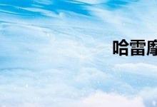 哈雷摩托车价格