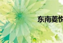 东南菱悦v3最大缺点