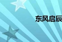 东风启辰t90最大缺点