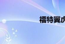 福特翼虎的最大缺点