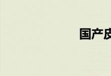 国产皮卡排行榜