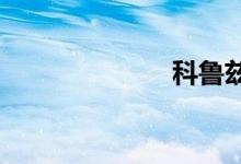 科鲁兹行车电脑