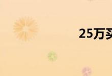 25万买什么车好